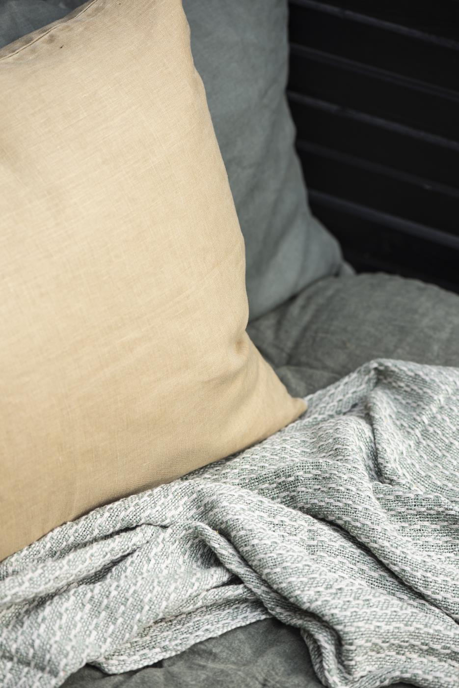 Trend109_6205-03_6205-55_6510-22_trend01