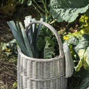 Košara okrogla z ročajem visoka 2934