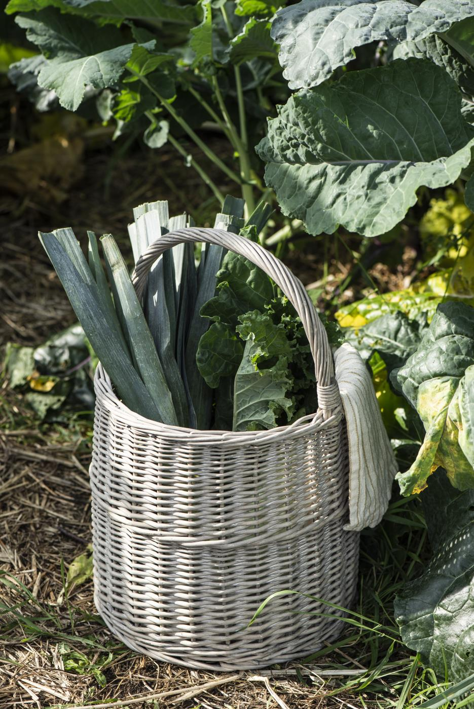 Košara okrogla z ročajem visoka 2934