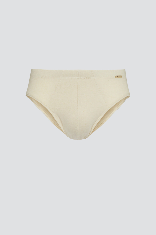 Moške slip spodnjice iz eko bombaža NATUR