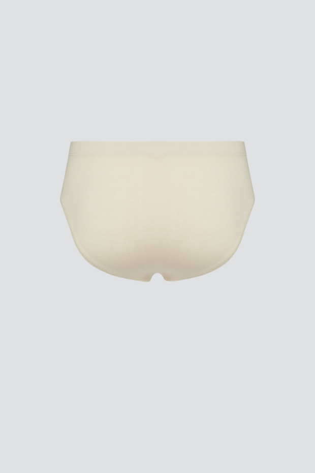 Moške slip spodnjice iz eko bombaža NATUR