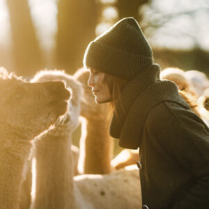 Volnena kapa, T.ZELENA