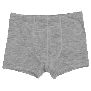 Moške bokser, sive - volna, svila