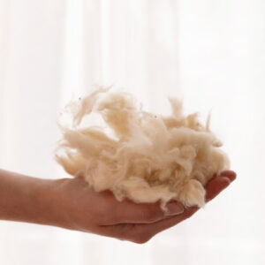 Vzglavnik kapok 50x60