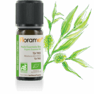 Eterično olje Čajevec