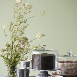 Pokrov stekleni Pokrov stekleni